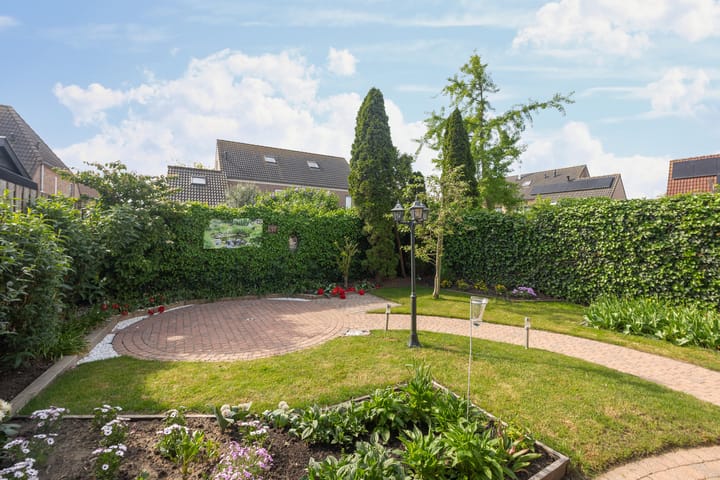 Foto 31 van Gerbera 29