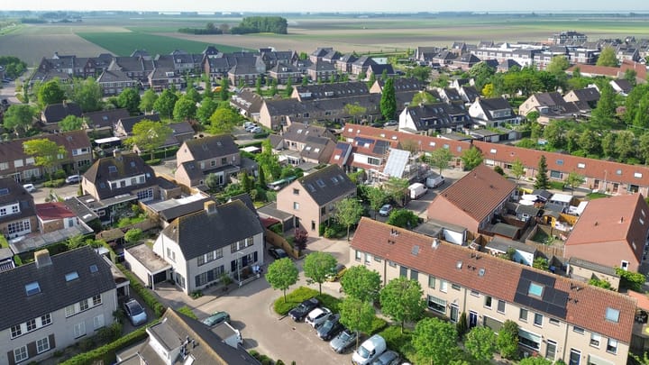 Foto 32 van Gerbera 29