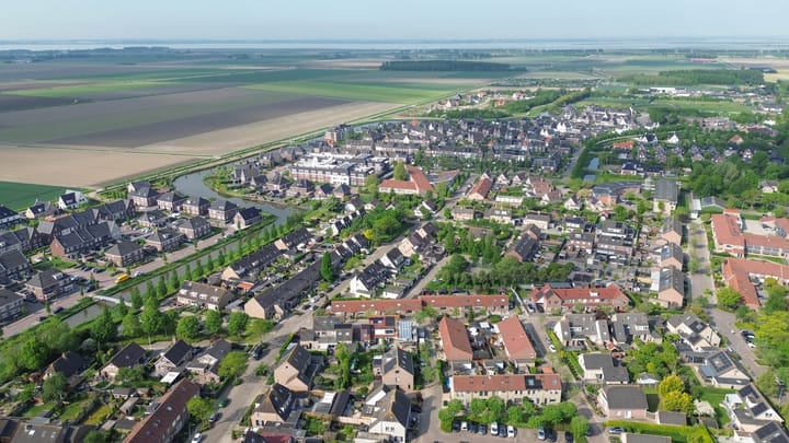 Foto 34 van Gerbera 29