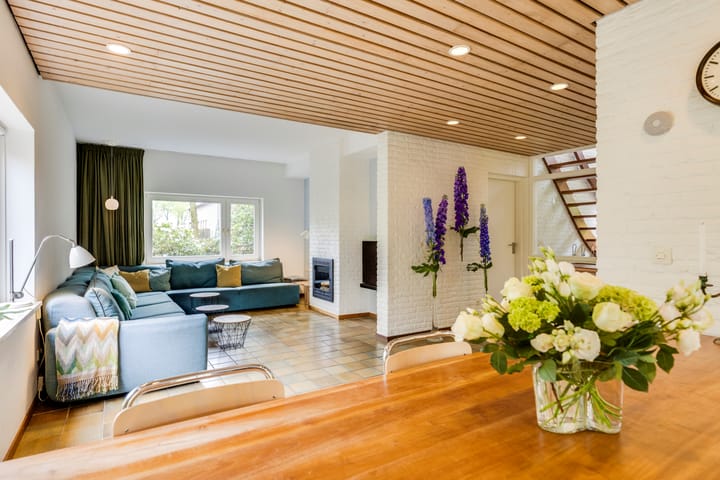 Foto 22 van Apollolaan 66