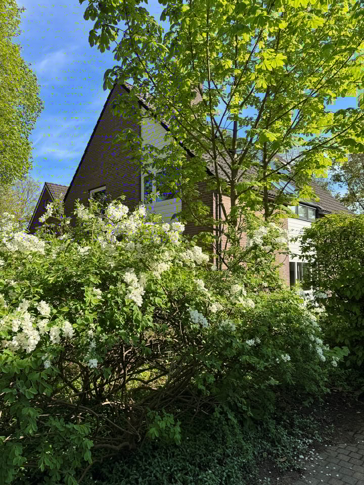 Foto 58 van Apollolaan 66