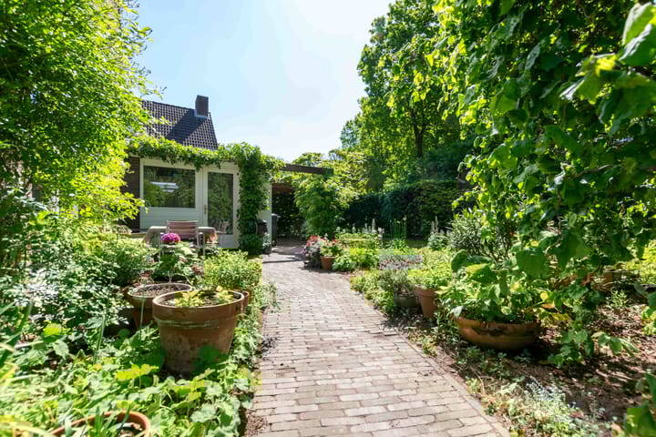 Foto 59 van Apollolaan 66