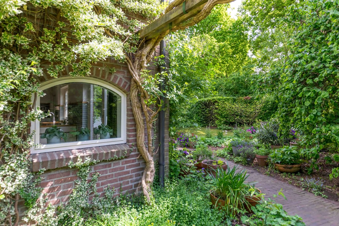 Foto 67 van Apollolaan 66