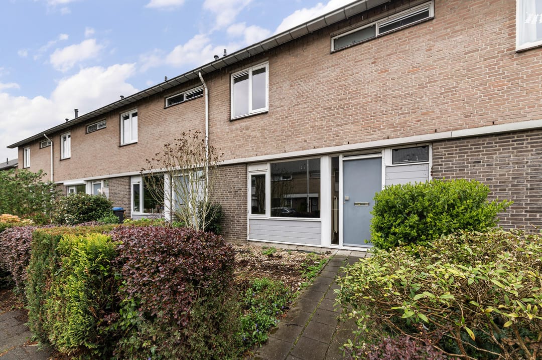 Foto 1 van Malvert 2023