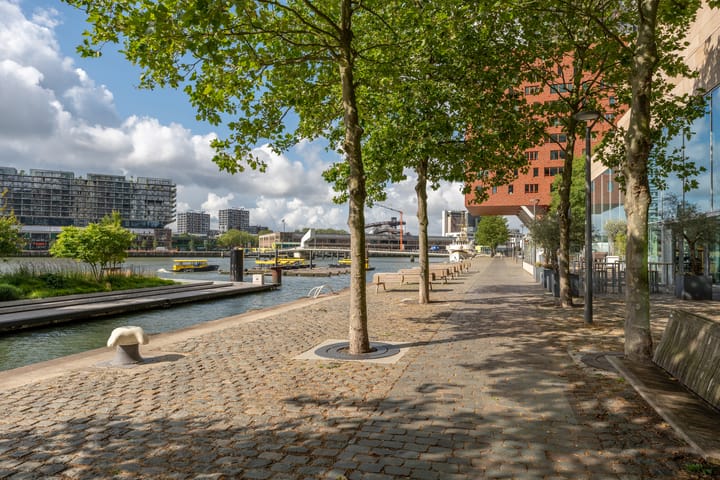 Foto 36 van De Monchyplein 17