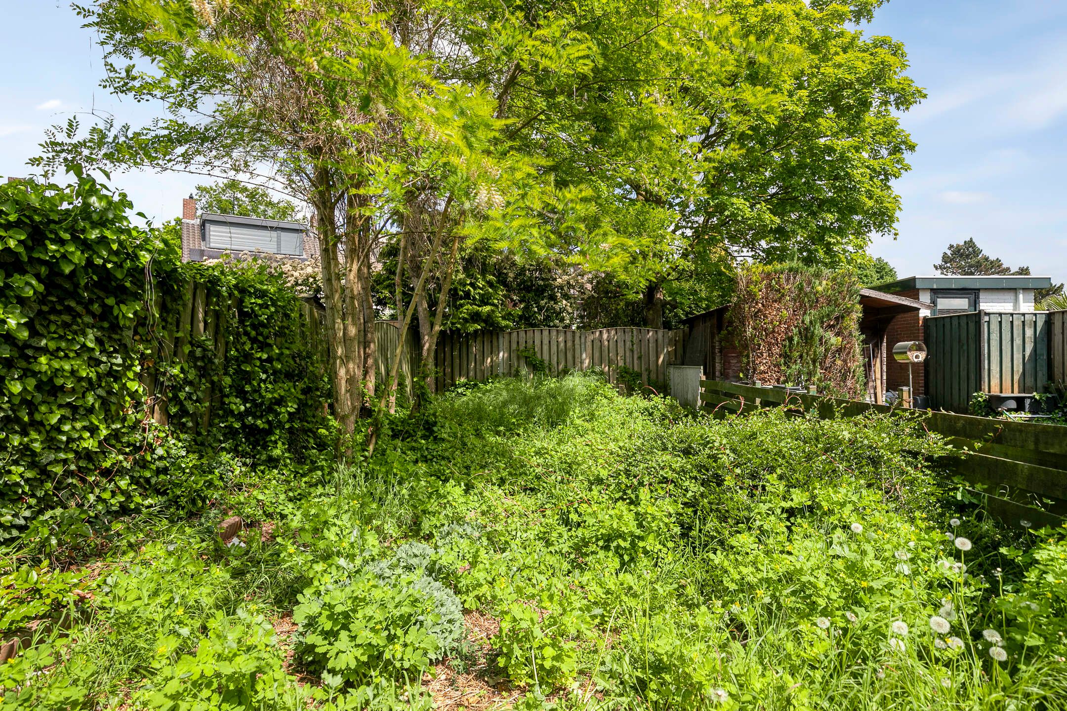 Foto 21 van Alberikstraat 4