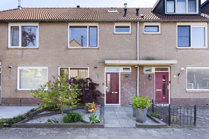 Foto 2 van Schijfmospad 3