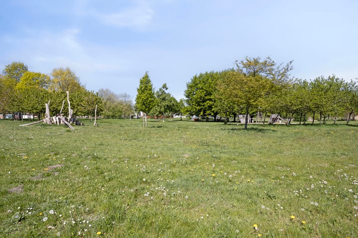 Foto 42 van Schijfmospad 3