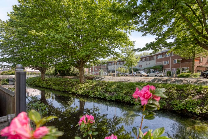 Foto 34 van Dwergvinvisstraat 38