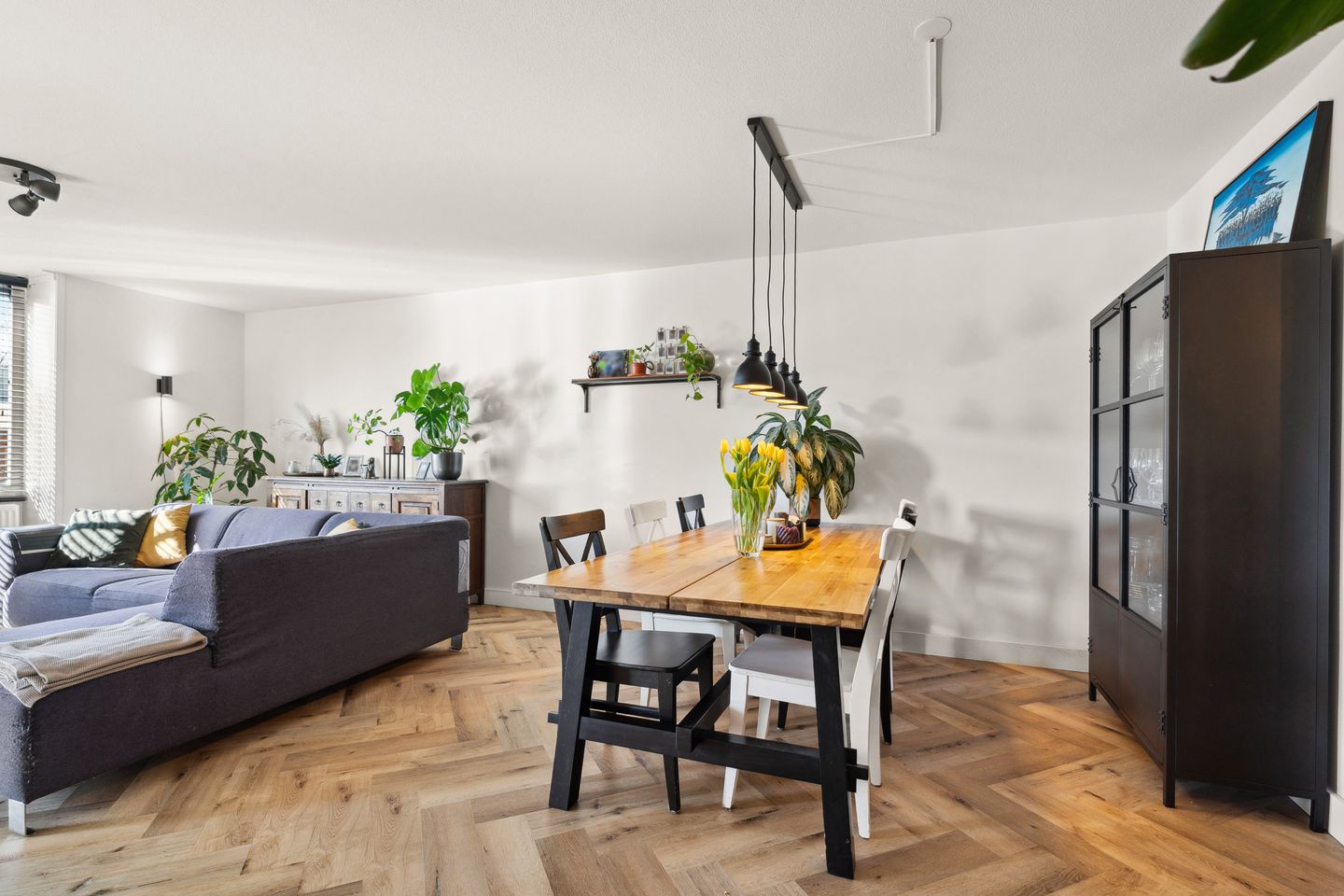 Foto 5 van Jan Brinkhoffplantsoen 31