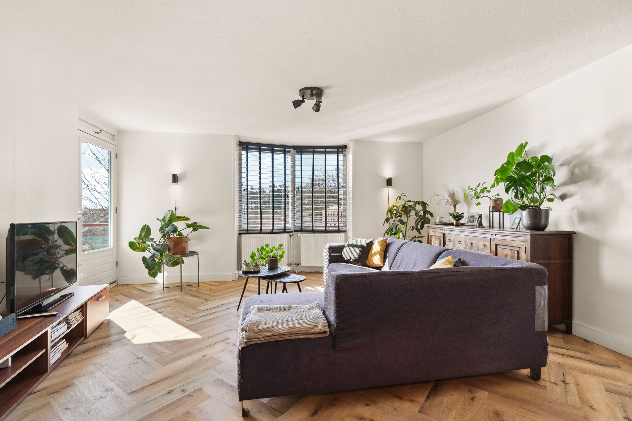 Foto 6 van Jan Brinkhoffplantsoen 31