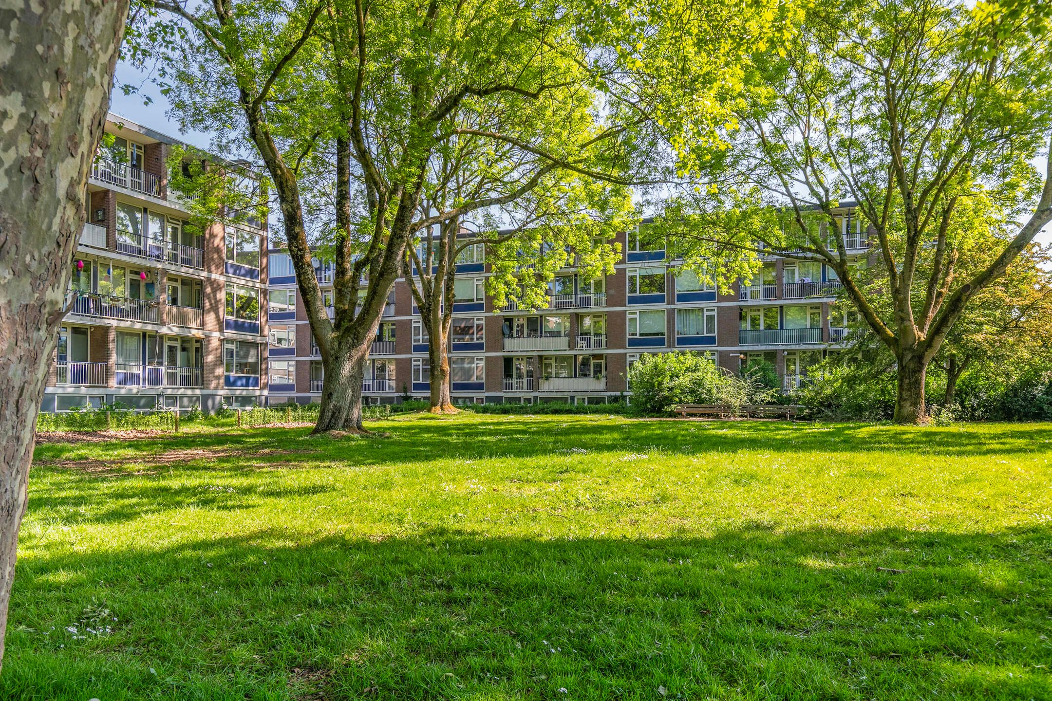 Foto 30 van Quadenoord 104