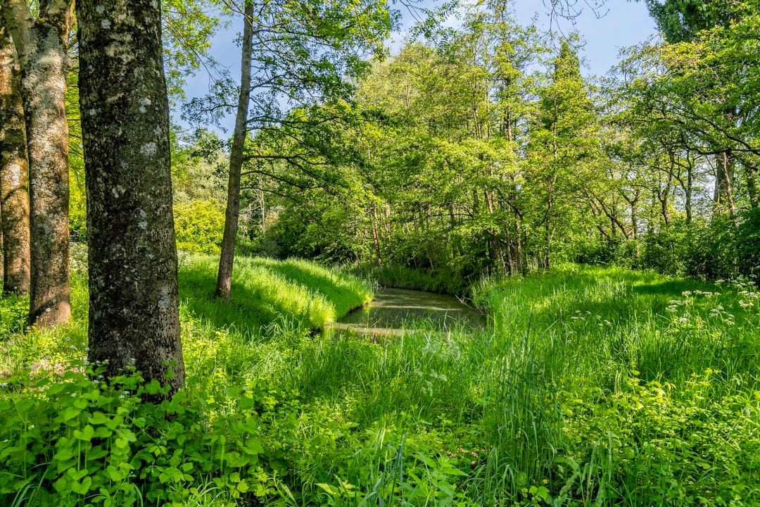 Foto 31 van Quadenoord 104