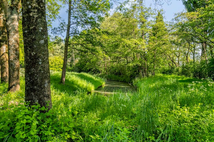 Foto 31 van Quadenoord 104