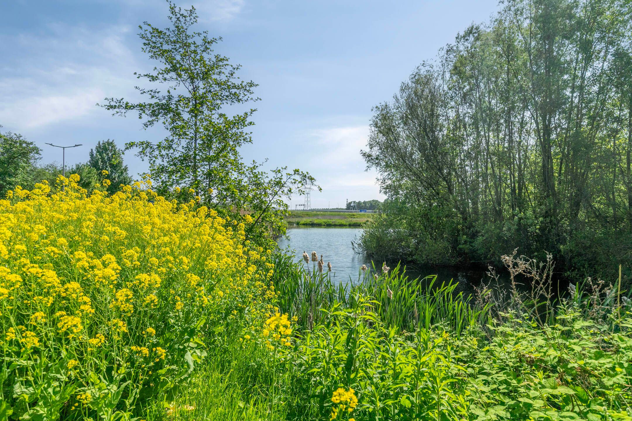 Foto 33 van Quadenoord 104