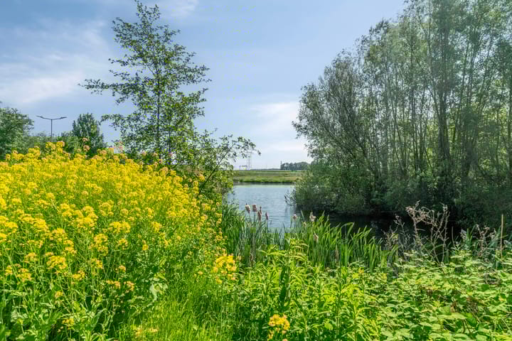 Foto 33 van Quadenoord 104