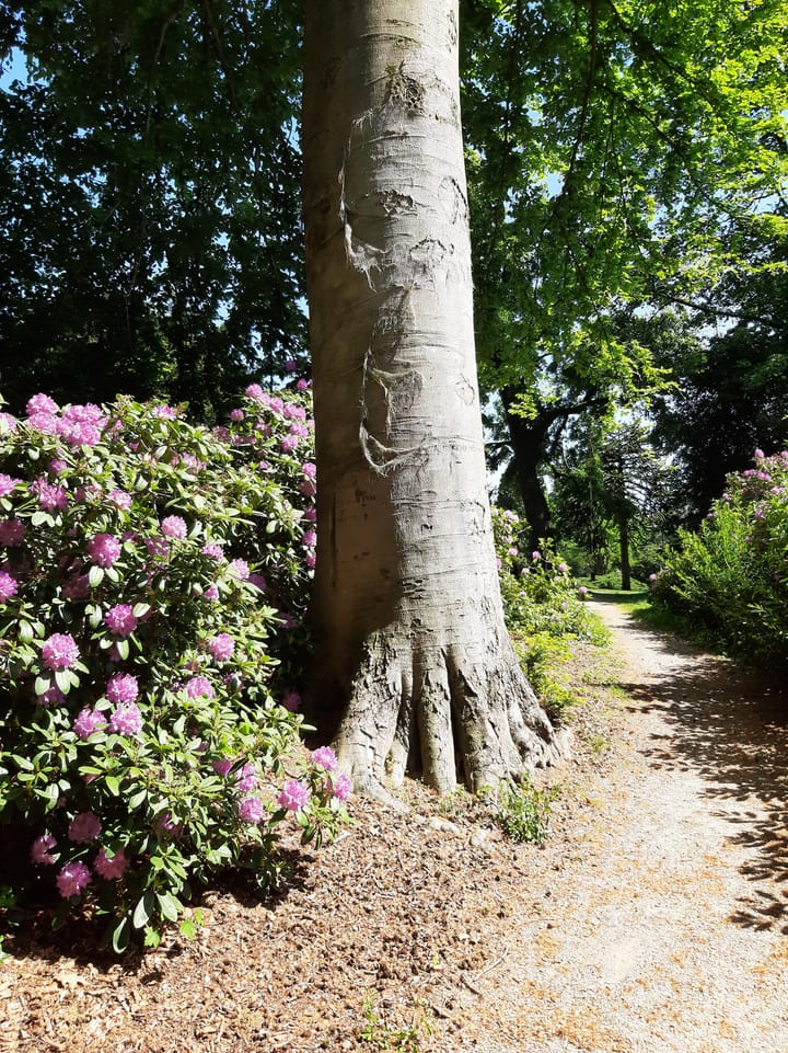 Foto 9 van Fangmanweg 56