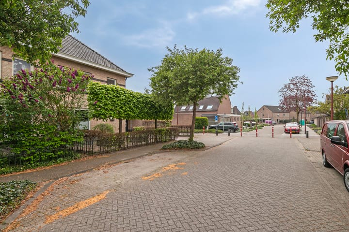 Foto 43 van Vogelven 17