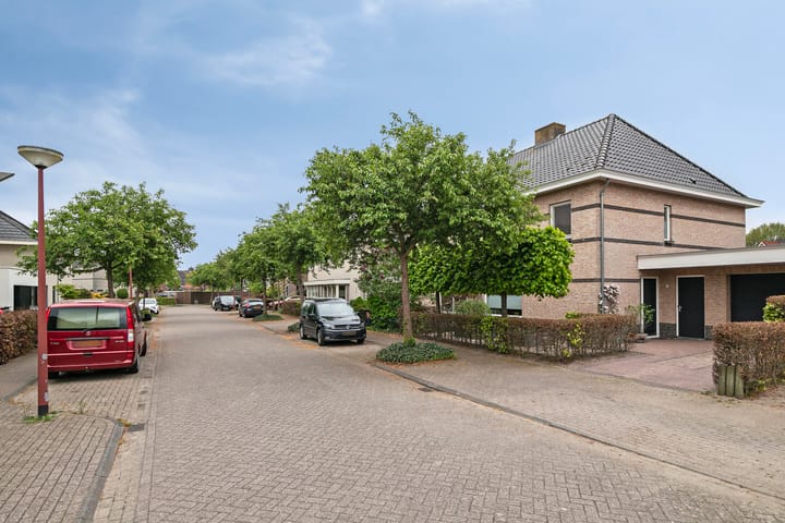 Foto 44 van Vogelven 17