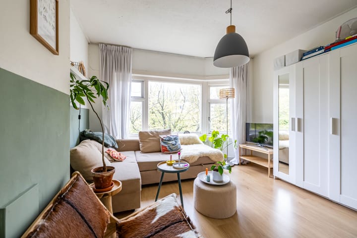 Foto 3 van Petrus Campersingel 145-A