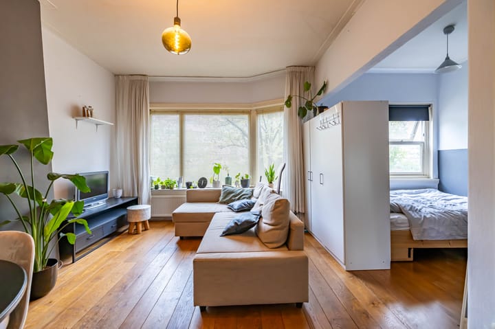 Foto 2 van Petrus Campersingel 145-A