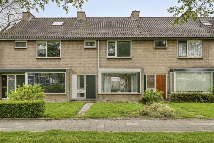 Foto 1 van Valeriaan 18