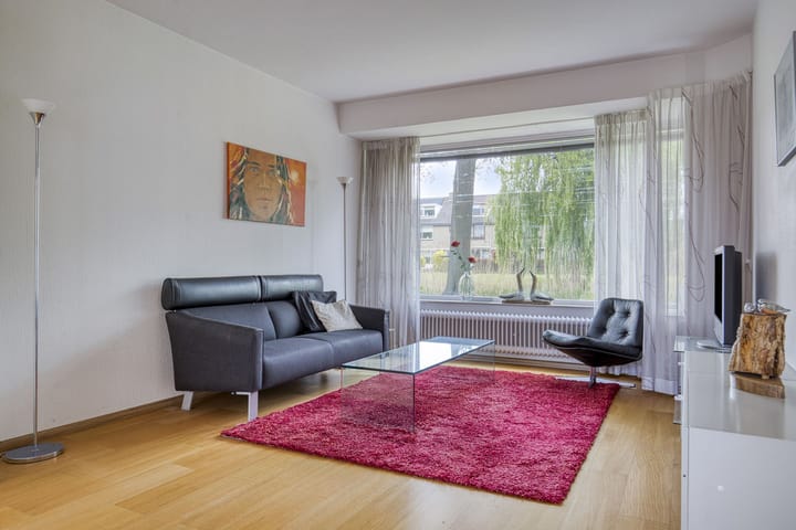 Foto 2 van Valeriaan 18