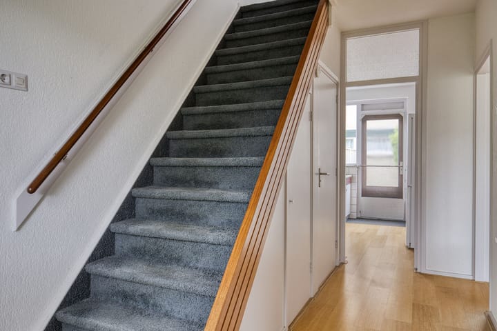 Foto 14 van Valeriaan 18