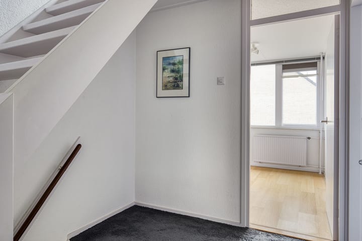 Foto 15 van Valeriaan 18