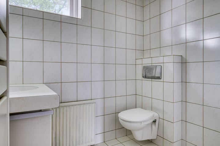 Foto 22 van Valeriaan 18