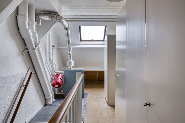 Foto 25 van Valeriaan 18