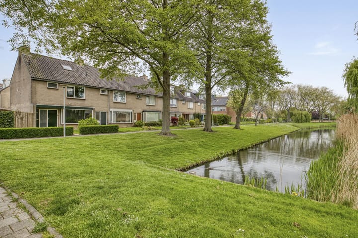 Foto 31 van Valeriaan 18