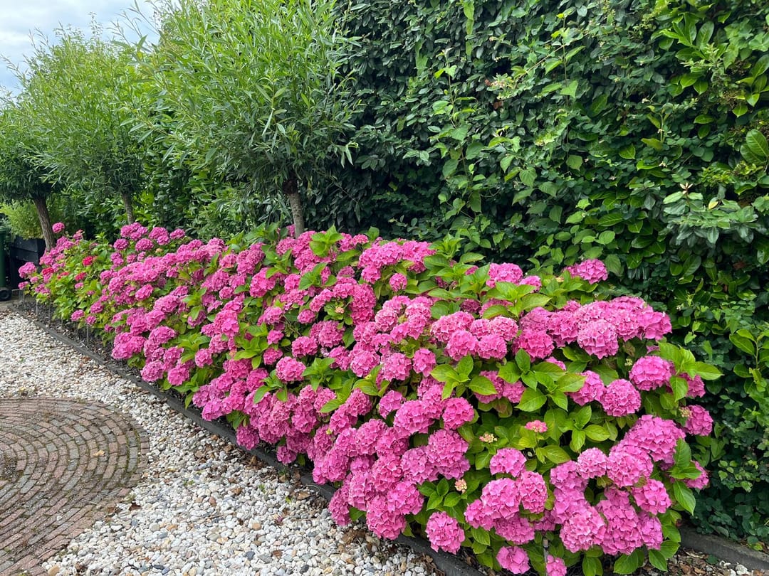 Photo 7 of D v Voornelaan 1