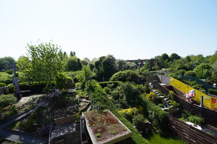 Foto 41 van Tarweakker 65