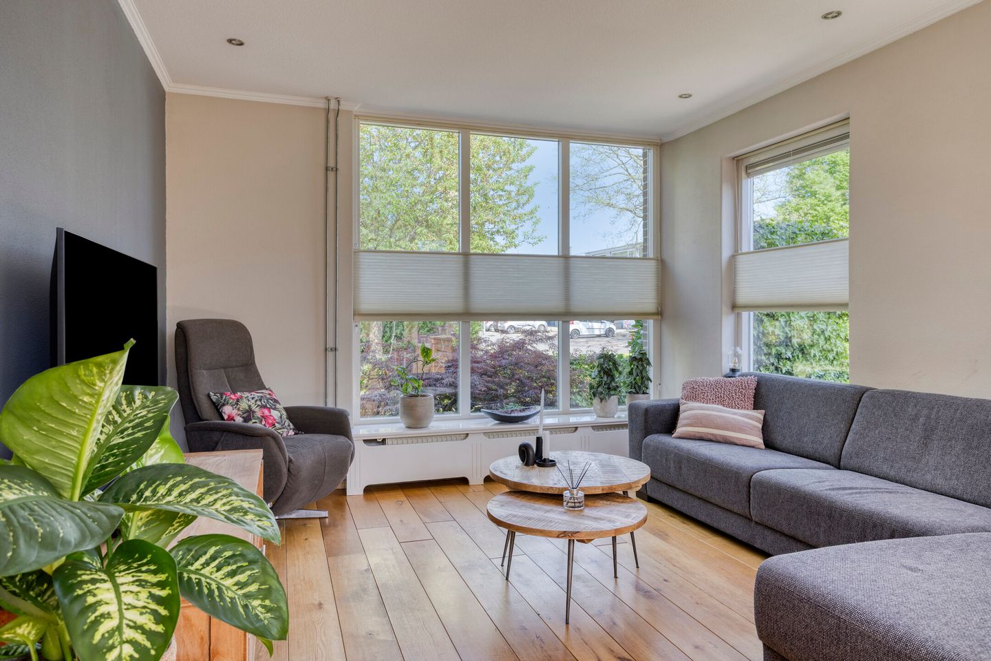 Foto 5 van Lage Esweg 12