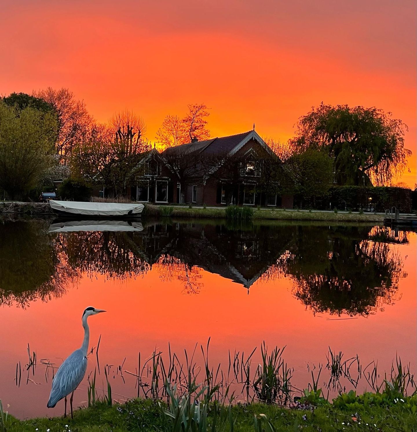 Foto 70 van de Hoef Westzijde 47