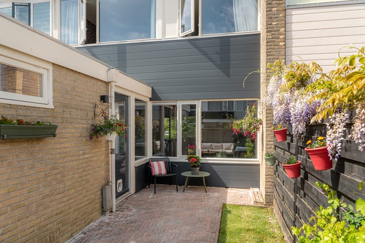 Foto 2 van Hunze 100