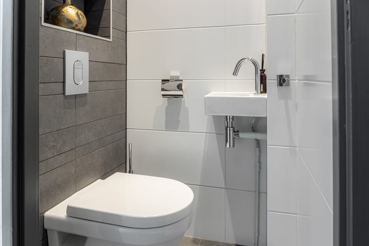 Foto 3 van Hunze 100