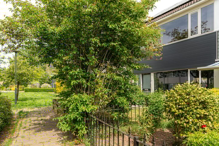 Foto 7 van Hunze 100