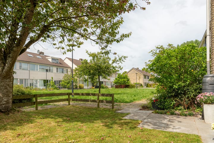 Foto 9 van Hunze 100