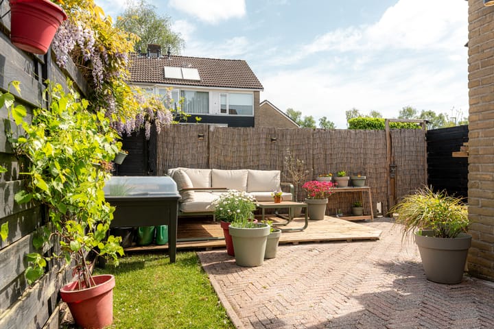 Foto 10 van Hunze 100