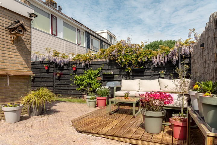 Foto 11 van Hunze 100