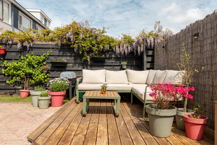 Foto 12 van Hunze 100