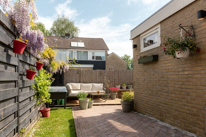 Foto 13 van Hunze 100