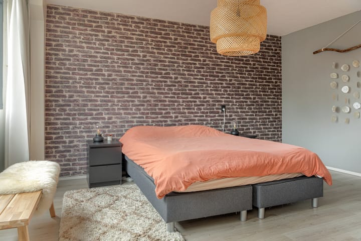 Foto 31 van Hunze 100