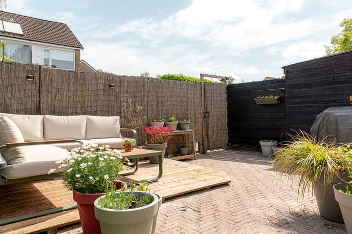 Foto 14 van Hunze 100