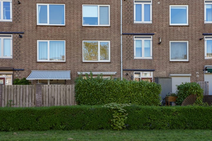 Foto 19 van Wolfstraat 164