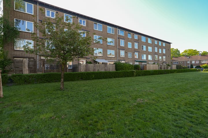 Foto 20 van Wolfstraat 164