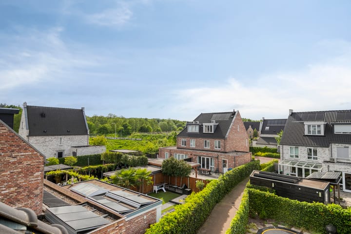 Foto 29 van Paardenbloemdreef 55