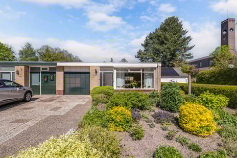 undefined main image